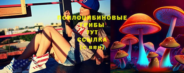 PSILOCYBIN Бугульма